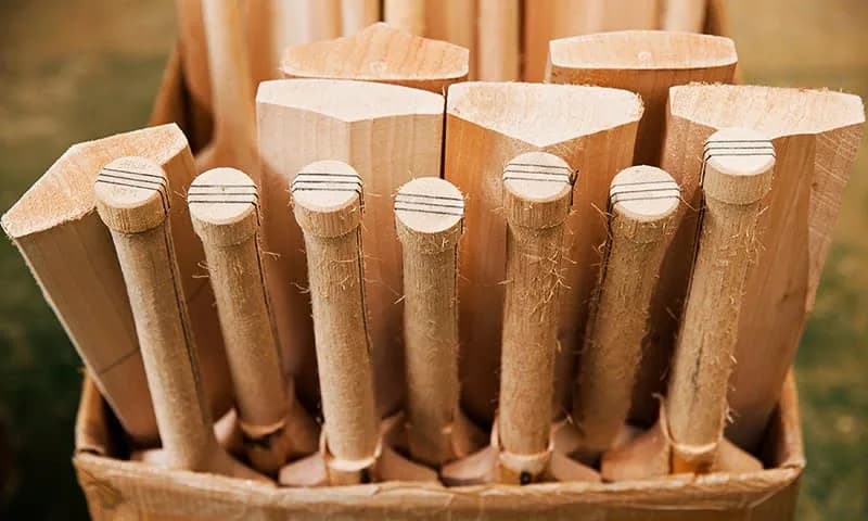 Cane handles standing in a basket
