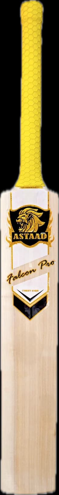 Astaad Falcon Pro, photo 1 of 5