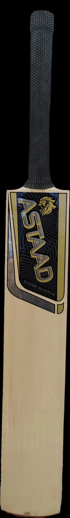 Astaad Scoop Master English willow bat