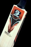 Gully King (Tennis Bat)
