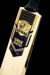 Cage Master (Tennis Bat)