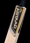 Scoop master (Tennis Kashmir willow)