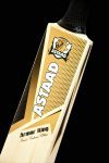 Armor King (Kashmir Willow)