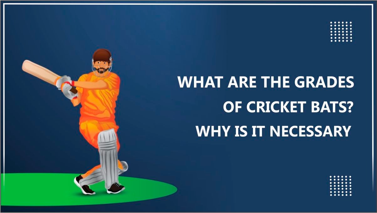 Grades Of Cricket Bats