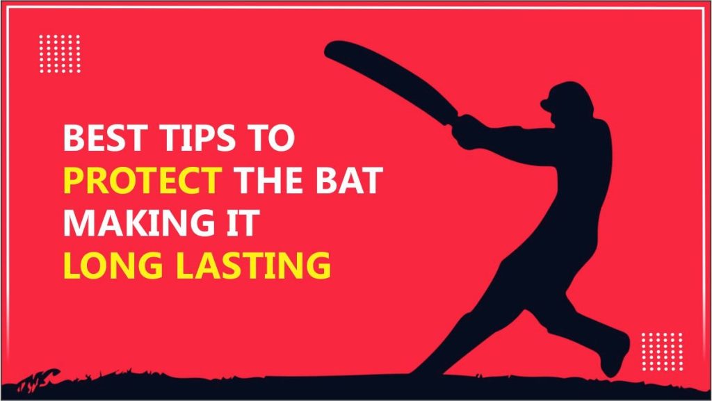 Tips To Protect The Bat