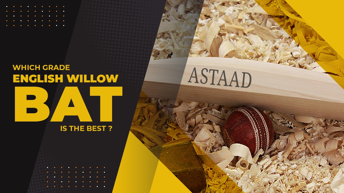 top english willow bats