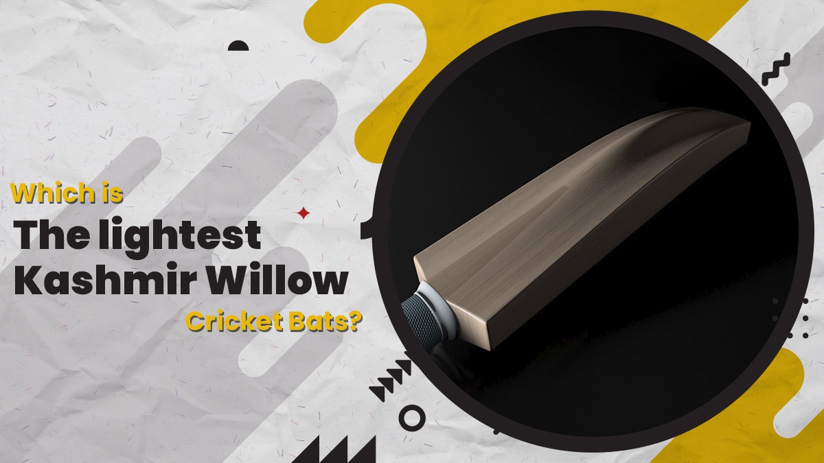 top quality kashmir willow bat,