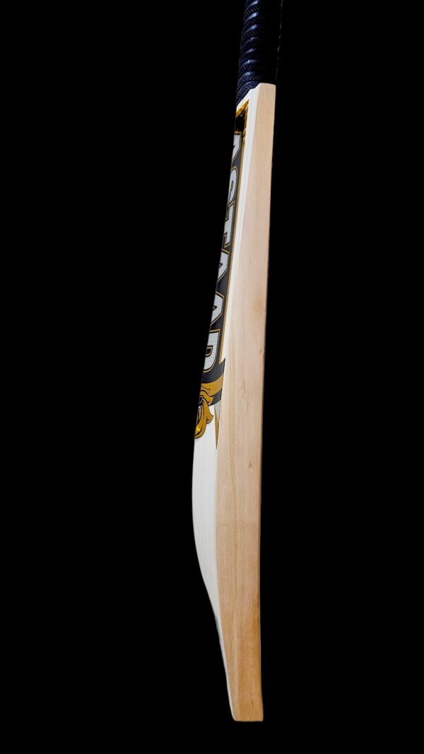 LEGACY ONE ( The finest top 1% of Grade 1+ players English Willow) - Image 5