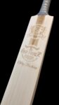The GodFather (Premium Grade 1+ English Willow)
